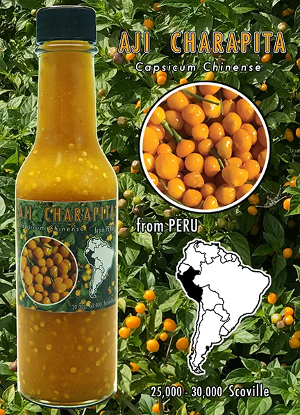 copy-of-ajicharapita-card.webp