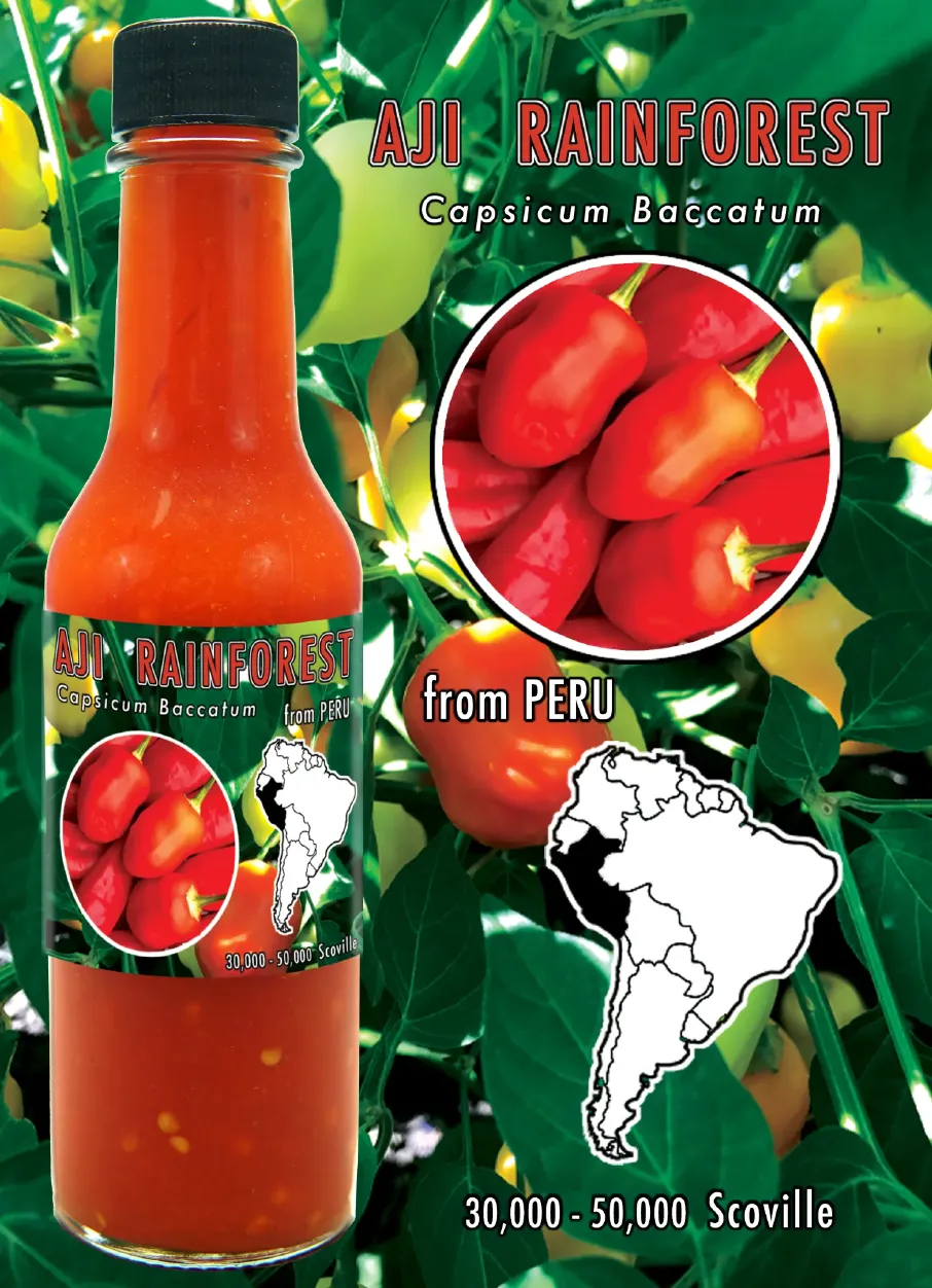 copy-of-ajirainforest-card.webp