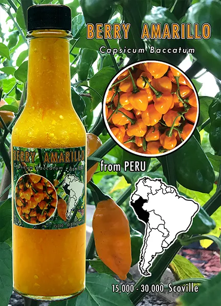 copy-of-berryamarillo-card.webp